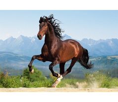 Puzzle GALLOPING ANDALUSIAN - 1500 dielikov