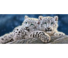Puzzle Snow Leopard Cubs - 600 dielikov